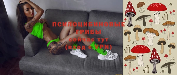 шишки Навашино
