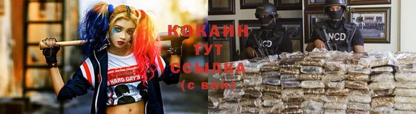 трава Михайловка