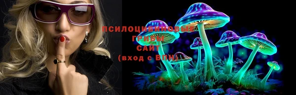 шишки Навашино