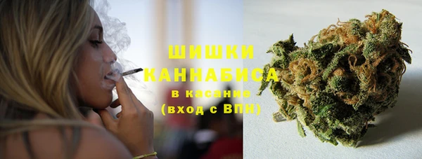 мдпв Надым
