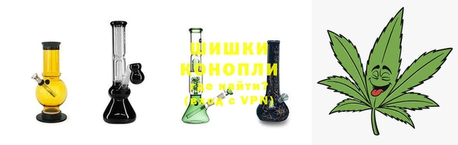 мдпв Надым