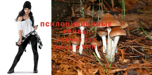 мдпв Надым