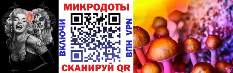 дарнет шоп  Оса  Галлюциногенные грибы ЛСД 